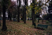 Zelechow aujourd'hui : le jardin public sur les lieux de la grande synagogue.