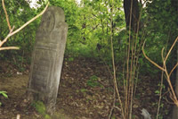 Zelechow aujourd'hui : les restes du cimetire juif.
