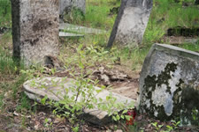 La tombe de Yenkel Ryfman, retrouve dans les restes du cimetire d'Anielin, en mai 2006.