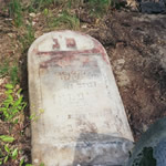 La tombe de Yenkel Ryfman, retrouve dans les restes du cimetire d'Anielin, en mai 2006.