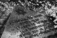 Monument en souvenir de la dportation des Juifs, rig en 1992  Falenica (dtail - photo : avril 2001).