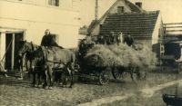 dzierzoniow11_small.jpg